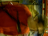 dscn0891
